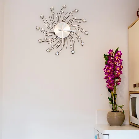 Apartament Aura *